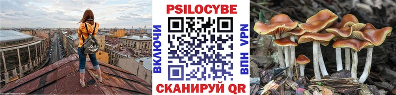 наркошоп  Чудово  Галлюциногенные грибы ЛСД 